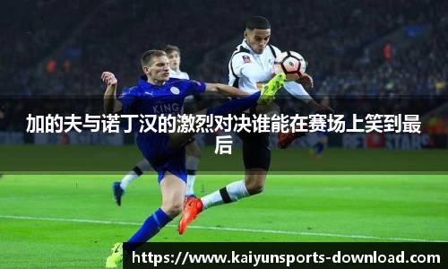 开云体育官网